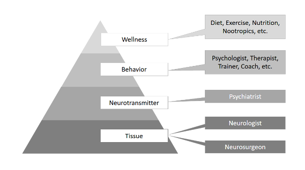 4-layers-of-neuroscience-pyramid